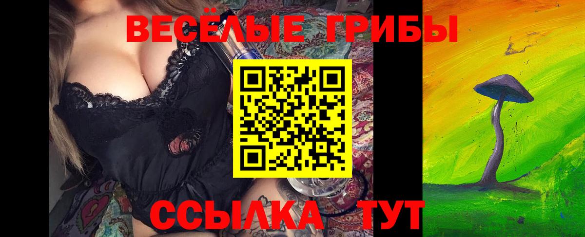 Галлюциногенные грибы MAGIC MUSHROOMS  Вход с VPN  Малгобек  Галлюциногенные грибы Cubensis 